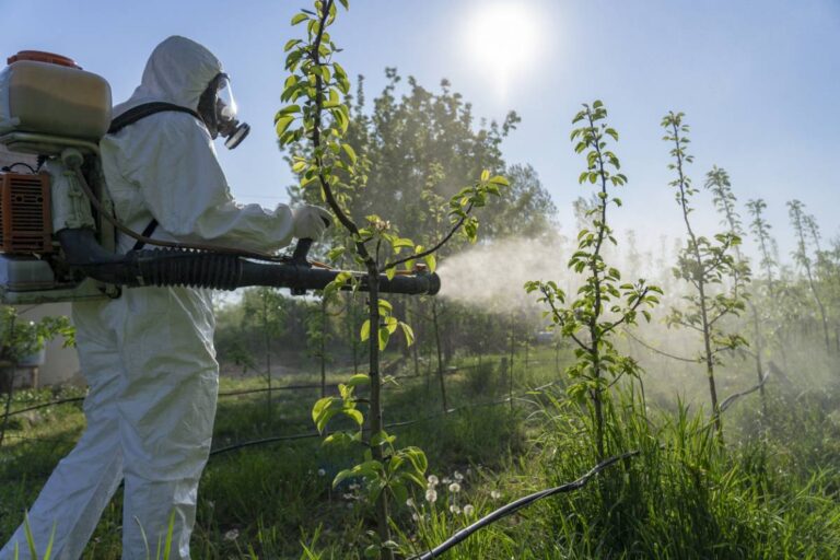 Certification Certibiocide : quelles options s'offrent à vous pour le financement ?